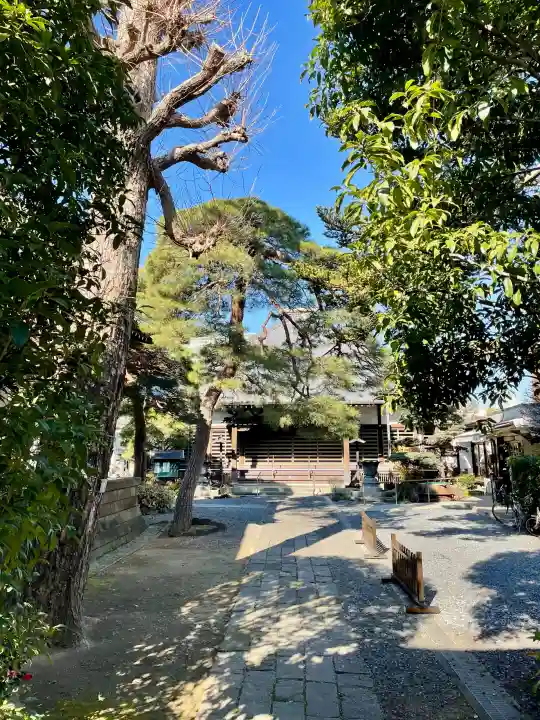 光明寺の{uncategorized: "未分類", other: "その他", undefined: "問題あり", building: "その他建物", grave: "お墓", sacred_gate: "鳥居", guardian: "狛犬", statue: "像", buddha: "仏像", history: "歴史", nature: "自然", garden: "庭園", animal: "動物", pagoda: "塔", temizu: "手水舎", mountain_gate: "山門・神門", sanctuary: "本殿・本堂", subordinate: "末社・摂社", art: "芸術", scenery: "景色", jizo: "地蔵", ema: "絵馬", goshuin: "御朱印", omikuji: "おみくじ", items: "授与品その他", amulet: "お守り", goshuincho: "御朱印帳", eats: "食事", festival: "お祭り", votive_dance: "神楽", shichigosan: "七五三参", wedding: "結婚式", experience: "体験その他", initially: "初詣", around: "周辺", anti_infection: "感染症対策"}