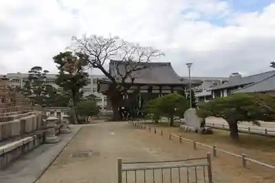 真光寺の本殿・本堂