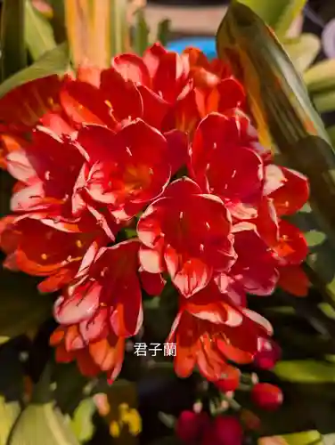 本覺寺(神奈川県)