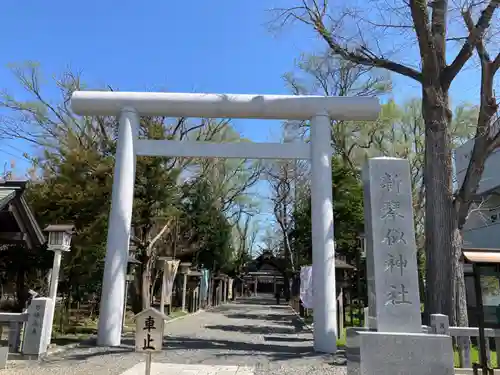 新琴似神社の鳥居