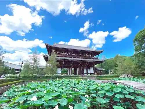 東福禅寺（東福寺）の山門