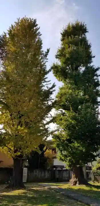 五北天祖神社の自然