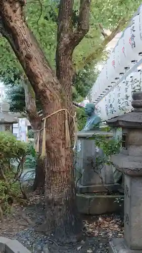 サムハラ神社の自然
