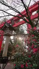 冠稲荷神社の鳥居