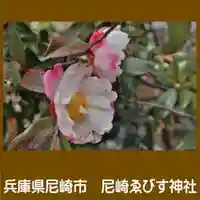 尼崎えびす神社の自然