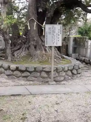 高田寺(愛知県)