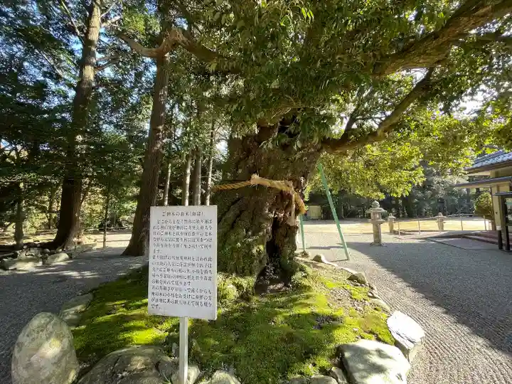加茂神社(滋賀県)