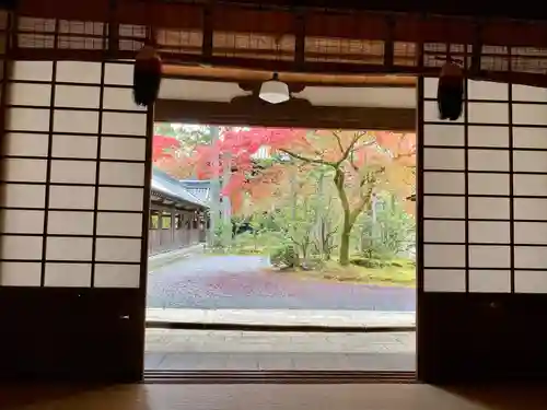 真正極楽寺（真如堂）の庭園