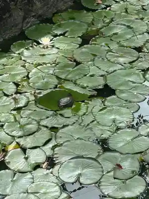 市原稲荷神社(愛知県)