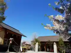 赤城神社(東京都)