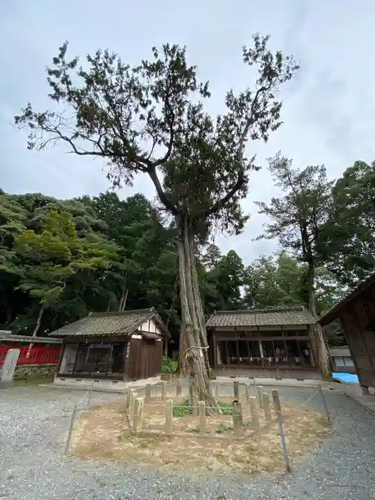 八所神社の自然