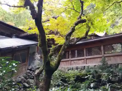八幡神社（武芸八幡宮）(岐阜県)
