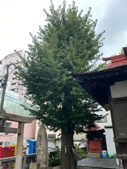 瑜伽神社 (大黒神社、蛭子神社)(福岡県)