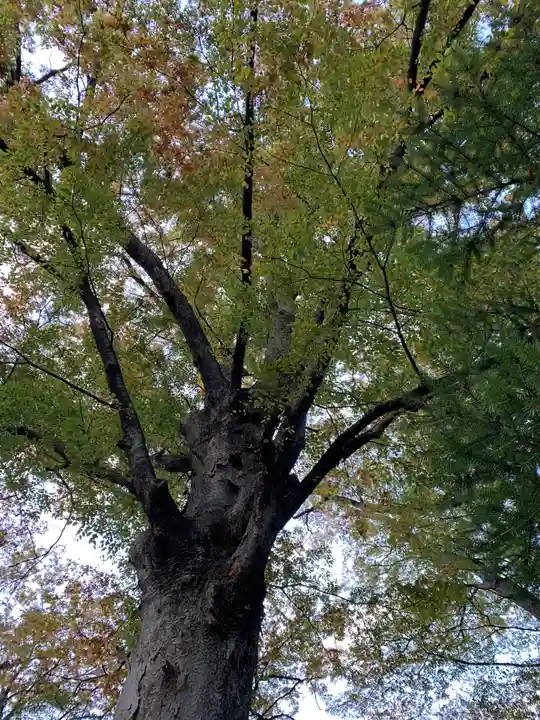 東石清水八幡神社(埼玉県)