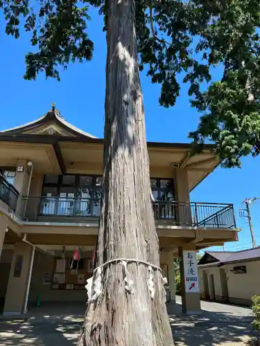 高麗神社(埼玉県)