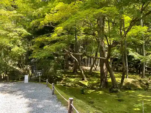 西芳寺(京都府)