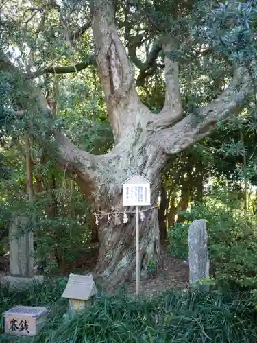 白羽神社の建物その他