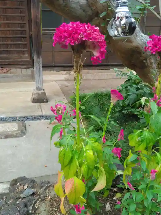 密蔵院(東京都)