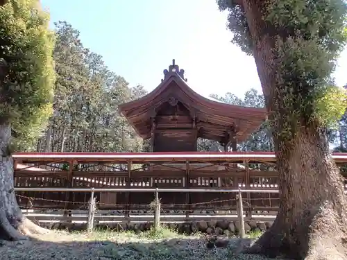 出雲伊波比神社の本殿