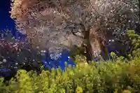 天神さまの祠の自然