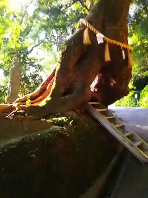 笠森寺(千葉県)