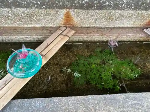 吉野神宮(奈良県)