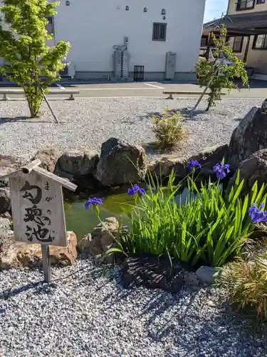 眞中神社の庭園