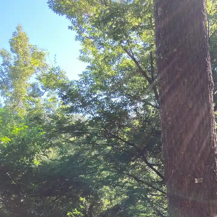 枚岡神社神津嶽本宮(大阪府)