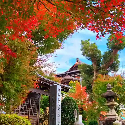 秋葉總本殿可睡斎の建物その他