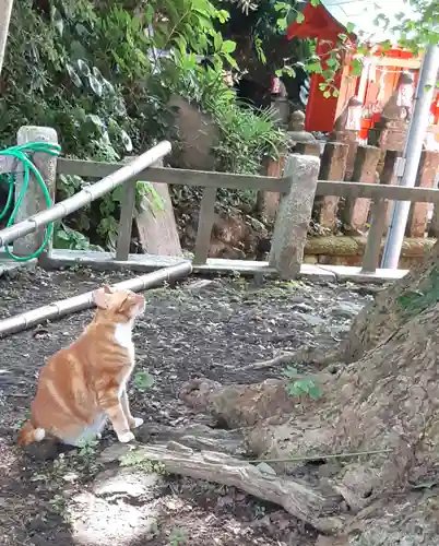 海南神社(神奈川県)