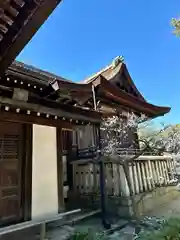 道明寺天満宮(大阪府)