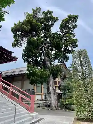 長安寺(神奈川県)