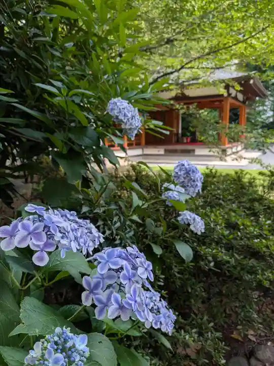 阿佐ヶ谷神明宮(東京都)