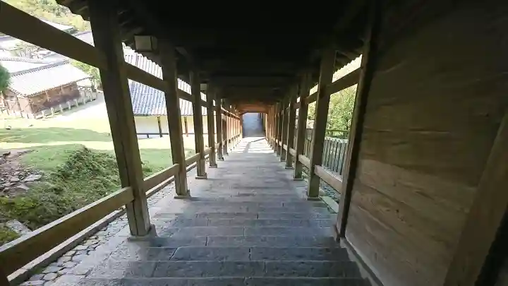 東大寺の{uncategorized: "未分類", other: "その他", undefined: "問題あり", building: "その他建物", grave: "お墓", sacred_gate: "鳥居", guardian: "狛犬", statue: "像", buddha: "仏像", history: "歴史", nature: "自然", garden: "庭園", animal: "動物", pagoda: "塔", temizu: "手水舎", mountain_gate: "山門・神門", sanctuary: "本殿・本堂", subordinate: "末社・摂社", art: "芸術", scenery: "景色", jizo: "地蔵", ema: "絵馬", goshuin: "御朱印", omikuji: "おみくじ", items: "授与品その他", amulet: "お守り", goshuincho: "御朱印帳", eats: "食事", festival: "お祭り", votive_dance: "神楽", shichigosan: "七五三参", wedding: "結婚式", experience: "体験その他", initially: "初詣", around: "周辺", anti_infection: "感染症対策"}