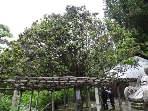 宝厳寺(滋賀県)