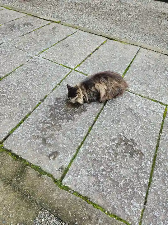 山梨縣護國神社(山梨県)