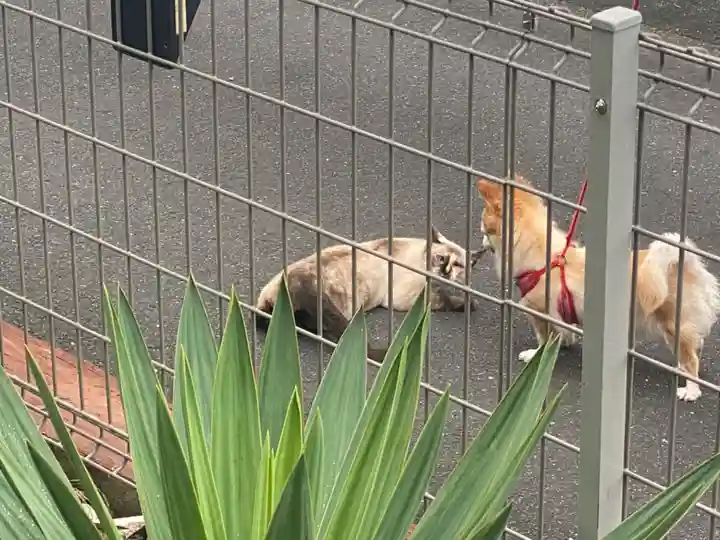 宣隆寺(三重県)