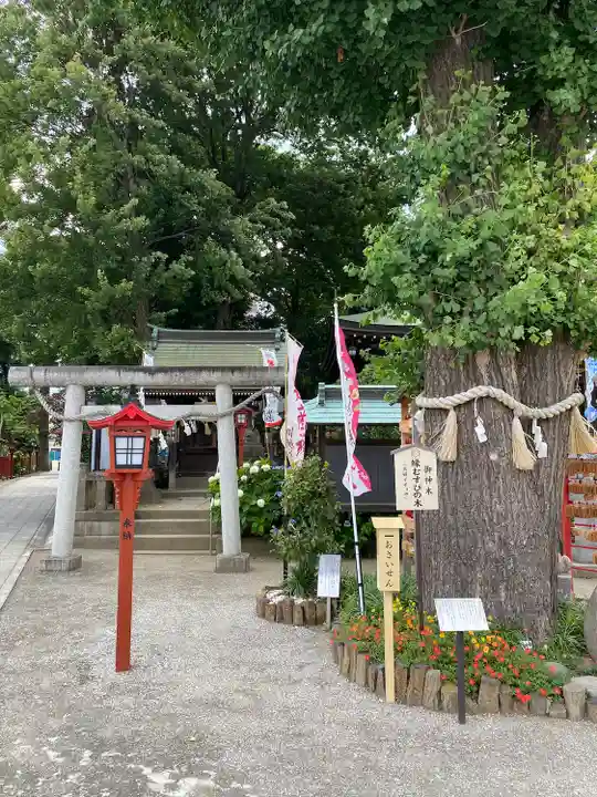 川越八幡宮(埼玉県)
