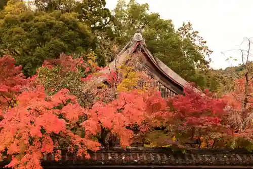 天授庵(京都府)