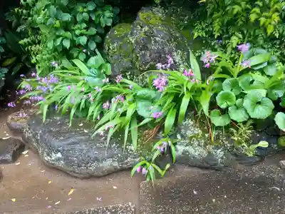 千手院(東京都)