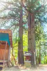 米川八幡神社(宮城県)