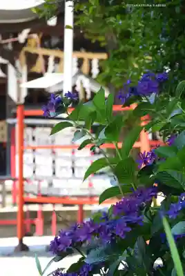 磐井神社(東京都)