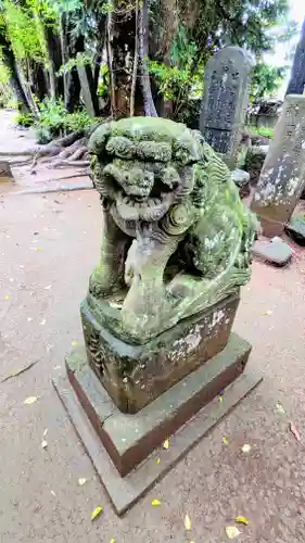 七百餘所神社 の狛犬