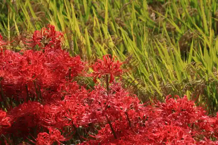 鹿島大神宮の庭園