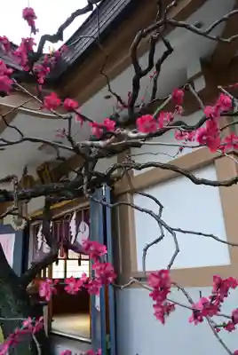 穏田神社(東京都)