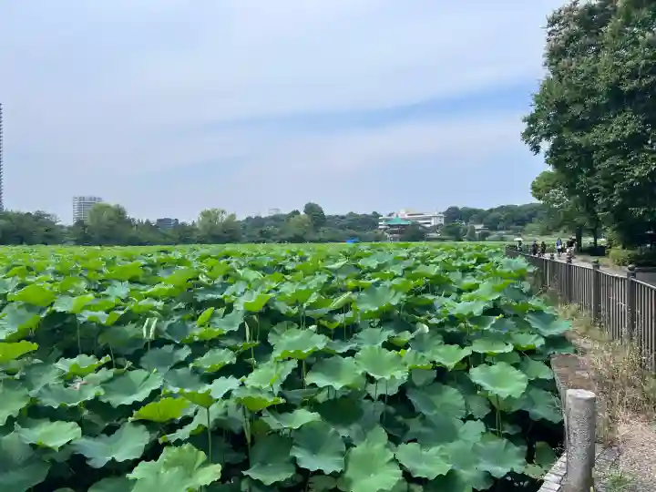 寛永寺不忍池弁天堂(東京都)