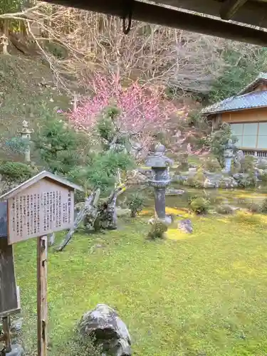 西教寺の庭園