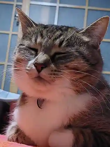 大船観音寺の御朱印