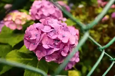 白山神社(東京都)