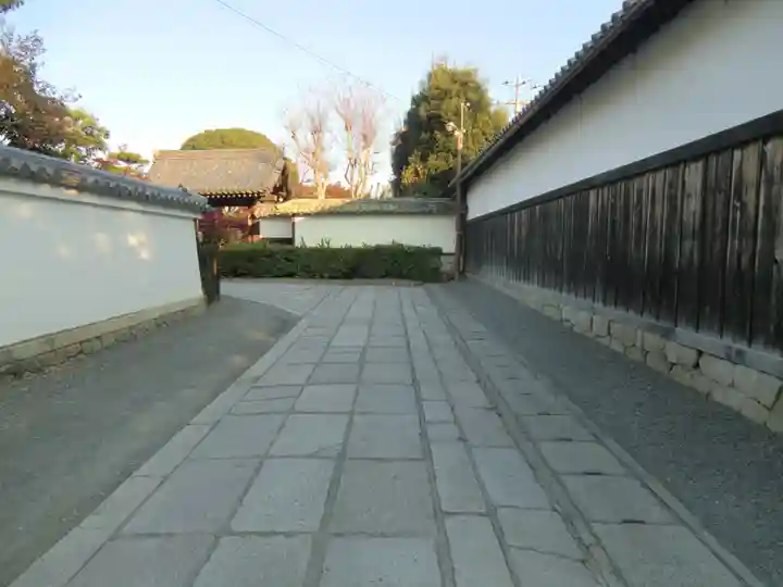 妙心寺(妙心禅寺)(京都府)